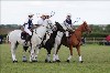 UKPA NC SAT_2923